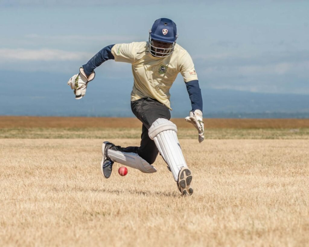 Free stock photo of cricket bat